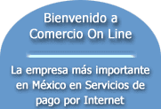 Comercio electr&oacute;nico y pagos en l&iacute;nea acepte tarjetas de cr&eacute;dito